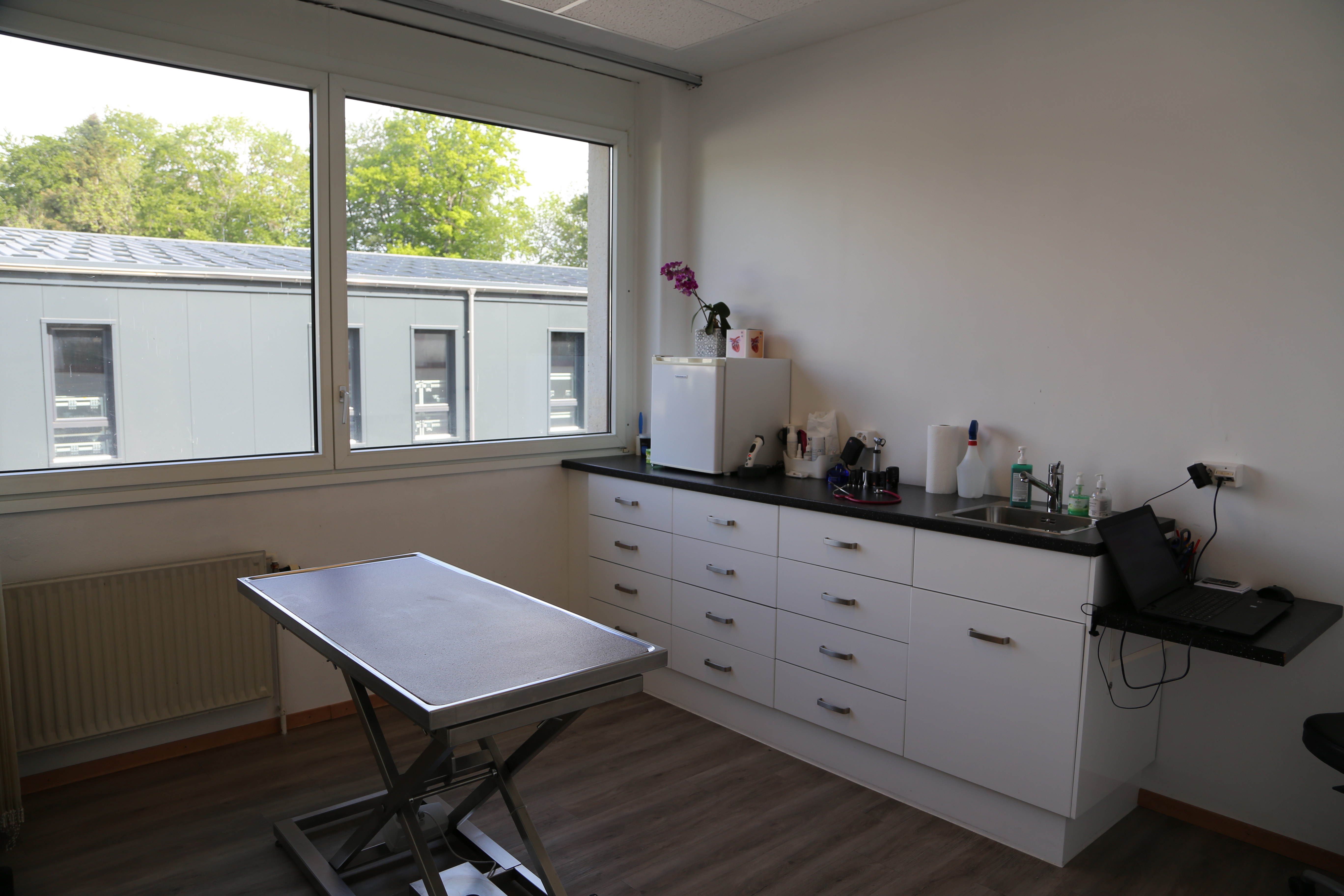 salle de consultation-chiens-chats-cabinet-veterinaire-argos-servion-vaud